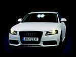 Rayzer Audi