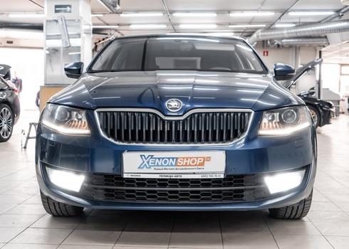 Установка светодиодных ламп XS-Light в противотуманки Skoda Octavia A7