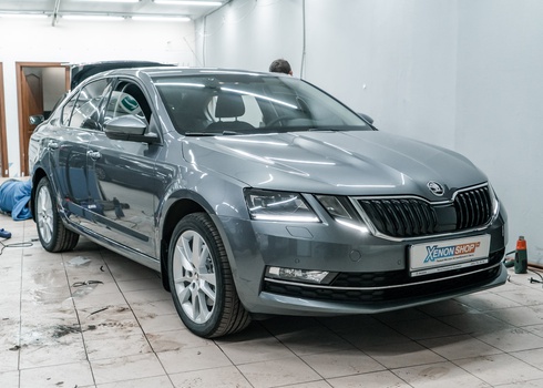 Тонировка задней полусферы Skoda Octavia