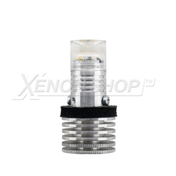 ProBright TDRL BASE ProBright TDRL BASE