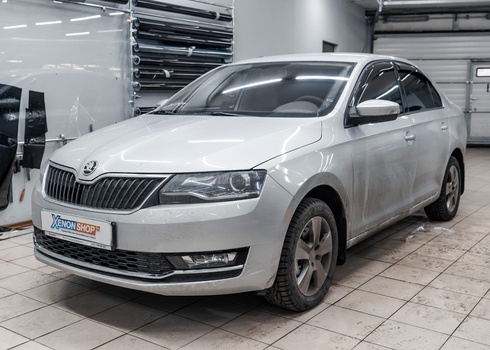 Тонирование задней полусферы Skoda Rapid 