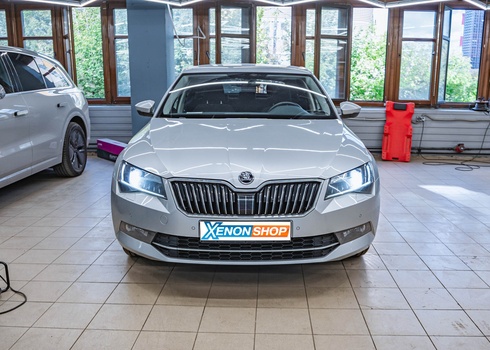 Змена штатных ксеноновых ламп Skoda Rapid