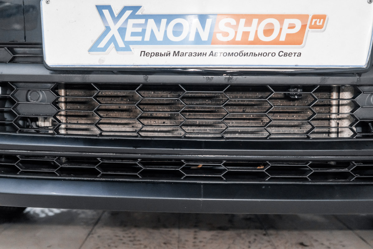 Винил Бронь Сетка - Skoda Kodiaq, 1,4 л, 2018 года стайлинг DRIVE2